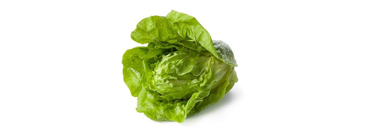 Groenlof Groenlof