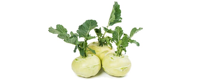 Koolrabi Koolrabi