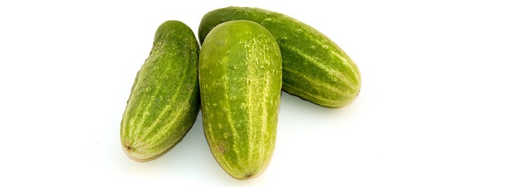 Augurken Augurken