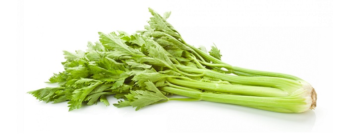 Bleekselderij Bleekselderij