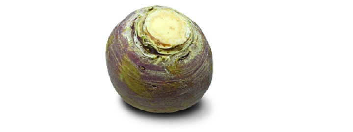 Koolraap Koolraap