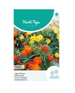 Tagetes - Lage Afrikaan Bonita ca. 1g