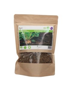 Groenbemester Voederbiet Brigadier Oranje 250g