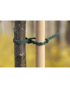 Universele Bindband met rattenstaartsluiting groen 23cm - 30 stuks