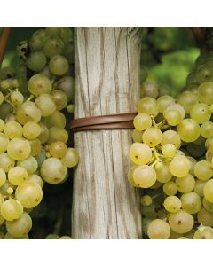 BIO Bindbuis 2mm ca.100m - bruin