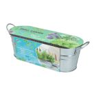 Buzzy Small Garden Tasty kitchen herbs