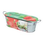 Buzzy Small Garden Sweet Strawberry