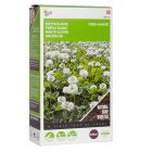 Witte klaver 100 gram - groenbemester