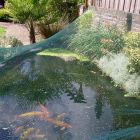 Cordata Vijvernet 3x6m