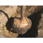Kluitverankering set Stamomtrek tot 25cm