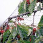 Robusta Tuinnet 4x5m OP=OP