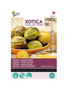 Xotica Pepino - Meloenpeer ca. 15 zaden
