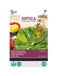 Xotica Salade Mix Exotisch Baby Leaf ca. 3g