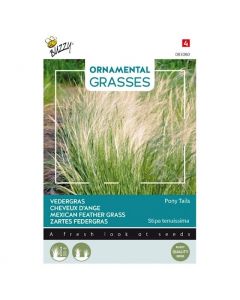 Vedergras Pony Tails ca.0,1g - Buzzy Ornamental Grasses