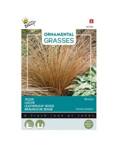 Zegge Bronco ca. 10 zaden - Buzzy Ornamental Grasses