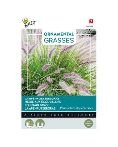 Grasses Lampenpoetsersgras ca. 0,1g - Buzzy Ornamental