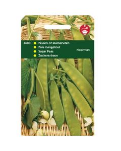 Peulen Noorman 100g  