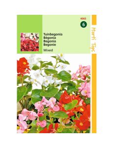 Begonia - Tuinbegonia gemengd ca. 0,1g