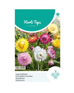 Helichrysum - Lage Strobloem Tom Thumb ca. 0,75g