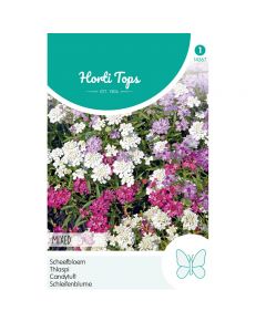 Iberis - Scheefbloem gemengd ca. 2g