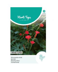 Ipomoea - Klimmende Winde Cardinal Climber ca. 1,5g