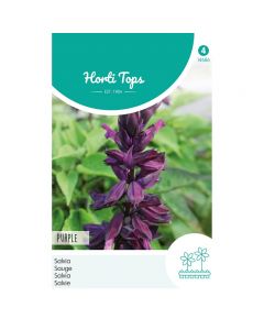 Salvia Purple ca. 0,5g