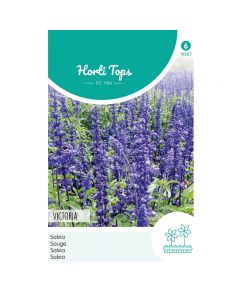 Salvia - Siersalie Victoria donkerblauw ca. 0,25g