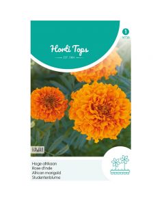 Tagetes - Hoge Afrikaan Hawaii oranje ca. 1g