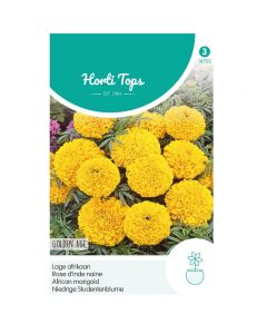 Tagetes - Lage Afrikaan Golden Age ca. 0,5g