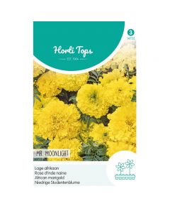 Tagetes - Lage Afrikaan Mr. Moonlight geel ca. 0,5g