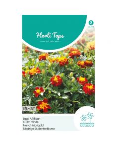 Tagetes - Lage Afrikaan Petite Harmony ca. 1g