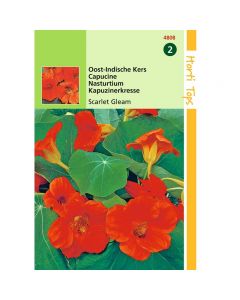 Tropaeolum - Oost-Indische Kers Scarlet Gleam rood ca. 3g