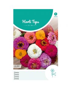 Zinnia Lilliput gemengd ca. 1,5g