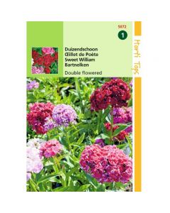 Dianthus - Duizendschoon dubbelbloemig gemengd ca. 0,75g