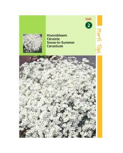 Cerastium - Hoornbloem wit ca. 0,25g