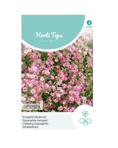 Gypsophila - Kruipend Gipskruid roze ca. 0,25g
