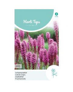 Liatris - Lampenpoetser purperroze ca. 0,75g