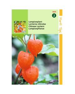 Physalis - Lampionplant ca. 0,25g