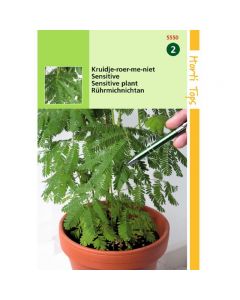 Mimosa Pudica - Kruidje-Roer-Me-Niet ca. 0,75g 