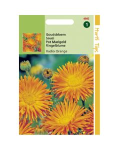 Calendula - Goudsbloem Radio Orange ca. 2g