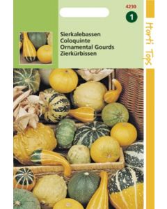 Cucurbita Sierkalebas Kleinvruchtig gemengd ca. 2g