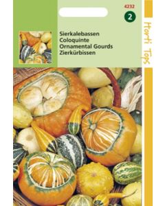 Cucurbita Sierkalebas Groot- en kleinvruchtig gemengd ca. 2g