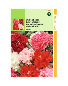 Dianthus Chabaud Anjer gemengd ca. 0,25g - Tuinanjer
