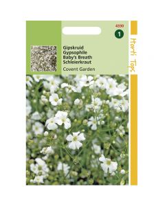 Gypsophila - Gipskruid Covent Garden wit ca. 1,5g