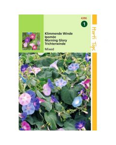 Ipomoea - Klimmende Winde gemengd ca. 2g