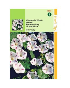 Ipomoea - Klimmende Winde Milky Way ca. 2g