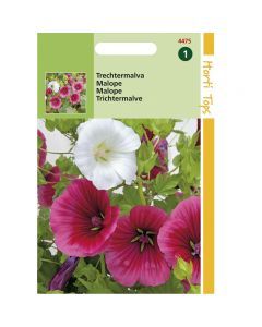 Malope - Trechtermalva gemengd ca. 2g