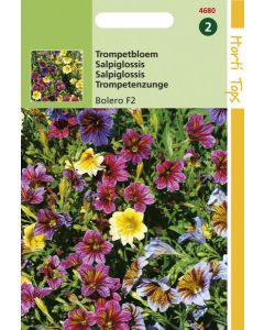 Salpiglossis - Trompetbloem Bolero gemengd 0,3g