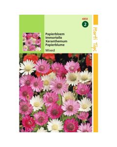 Xeranthemum - Papierbloem gemengd ca. 1g