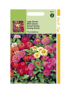 Zinnia Thumbelina laag gemengd ca. 0,75g